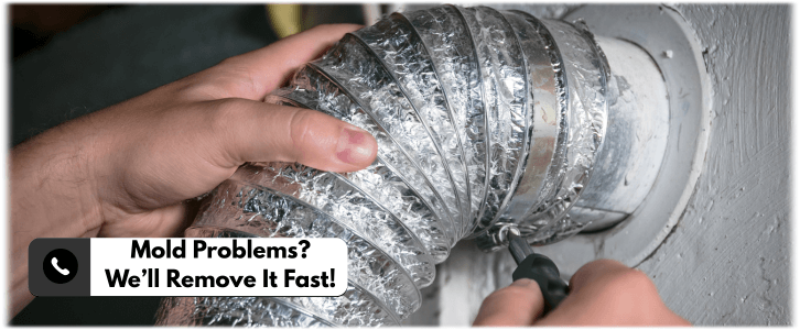 Air Duct Mold Removal in Plano