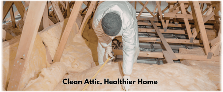 Attic Cleaning Plano