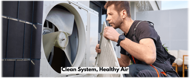 HVAC Mold Removal Plano